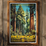 Redwood National Park Print